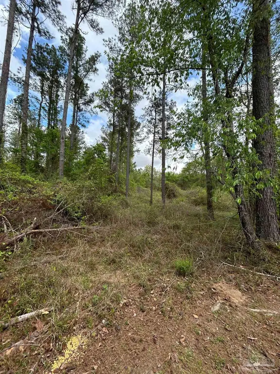 2346 New York St, Jay, FL 32565 - #3