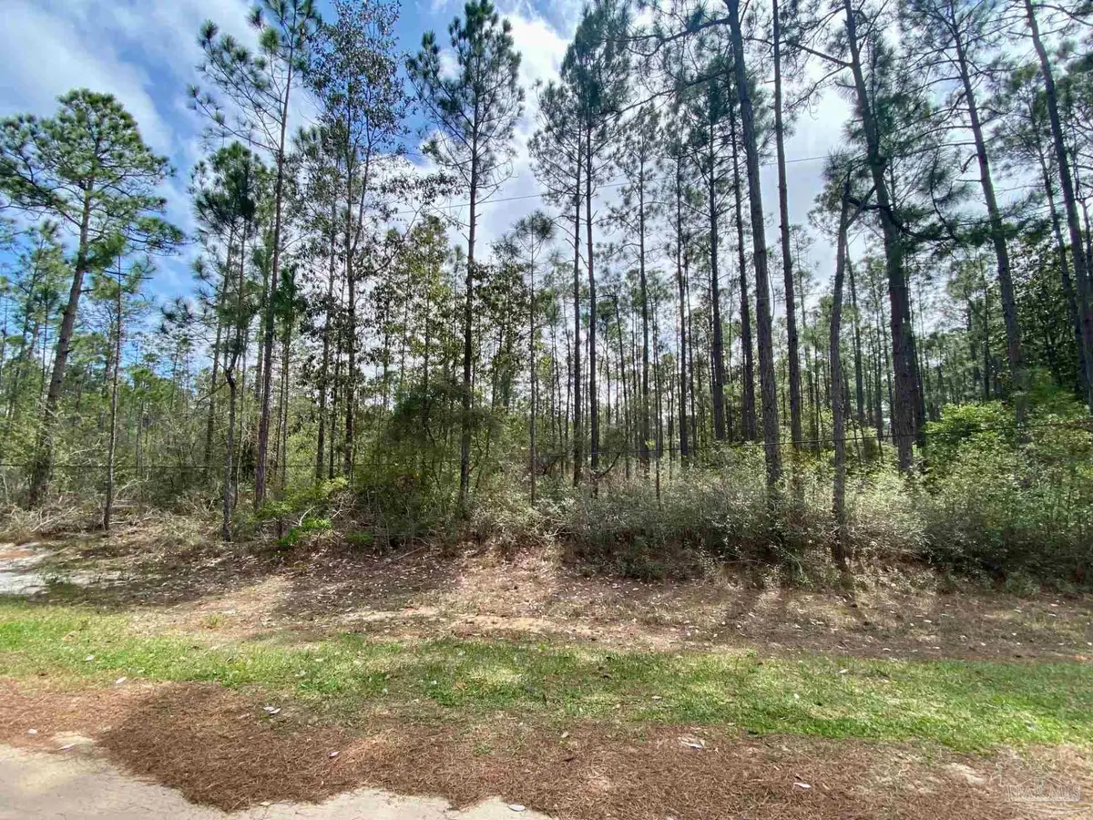 000 Allegro St, Milton, FL 32583 - #1