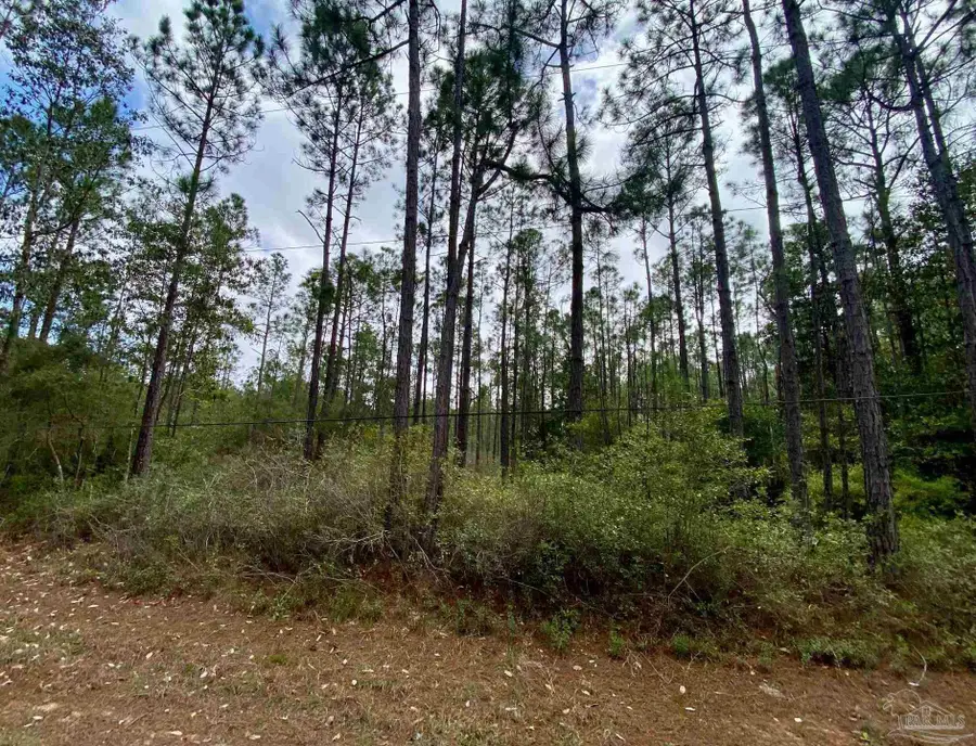 000 Allegro St, Milton, FL 32583 - #2