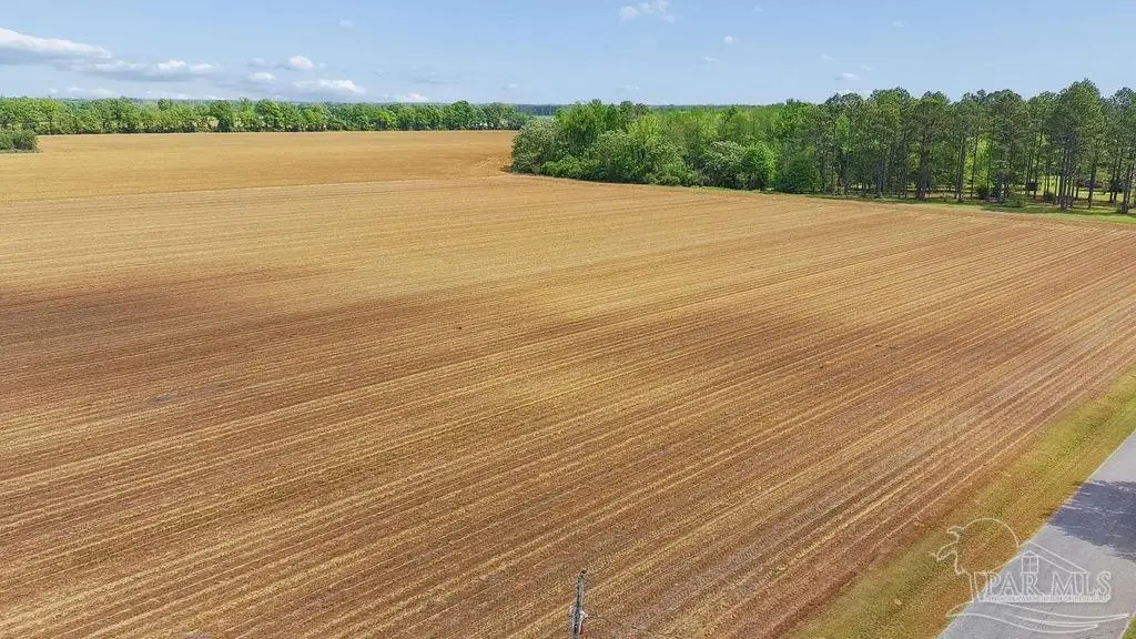 3B Mineral Springs Rd, Jay, FL 32565 - #1