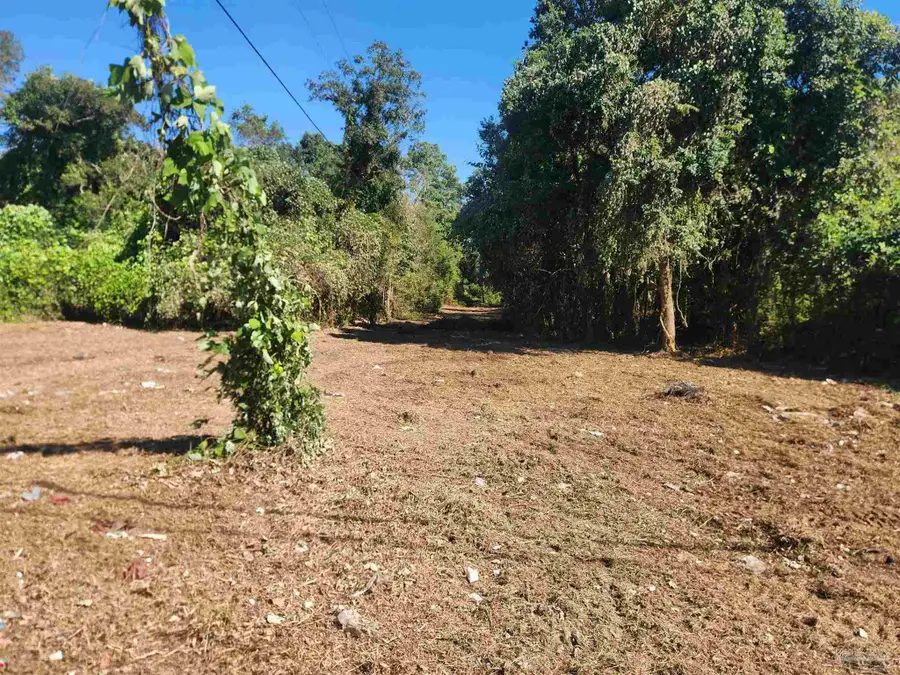 413 Young St, Fairhope, AL 36532 - #3