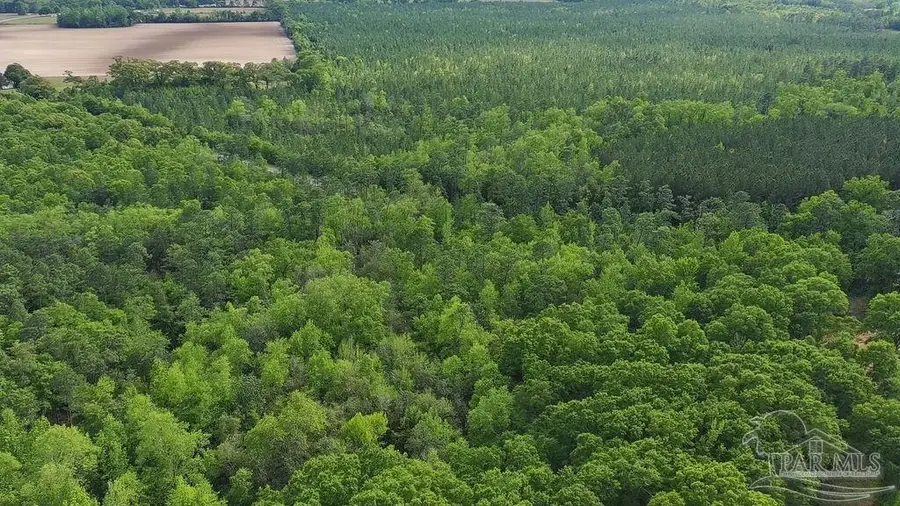 5814 Hwy 4, Jay, FL 32565 - #2