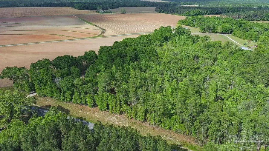 5814 Hwy 4, Jay, FL 32565 - #3