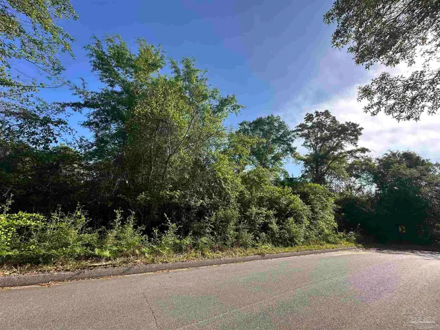 0000 Abb Pitman Rd, Milton, FL 32570 - #3