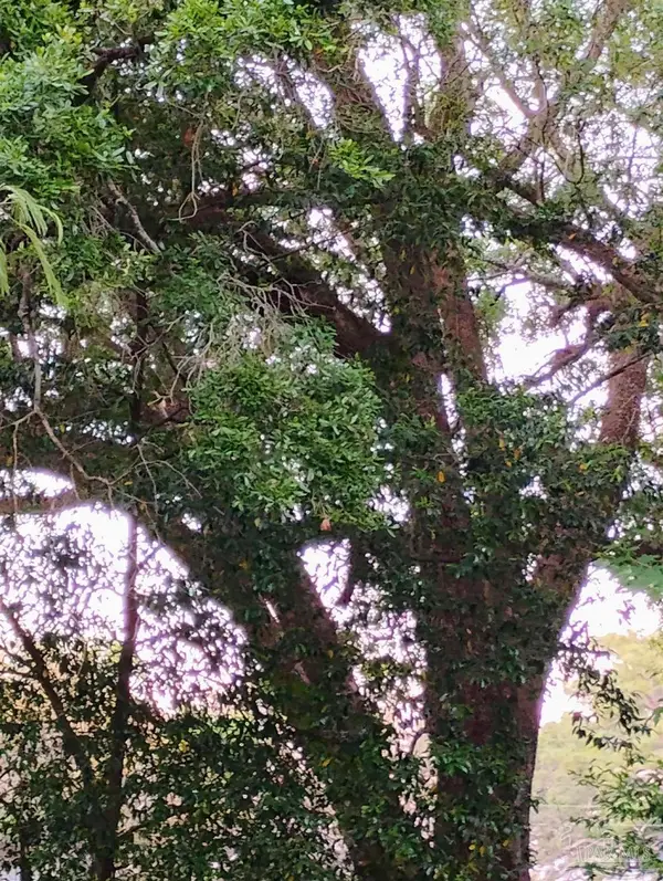 400 BLK N 62nd Ave, Pensacola, FL 32506