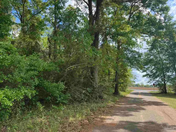 0 Hwy 87, Jay, FL 32565