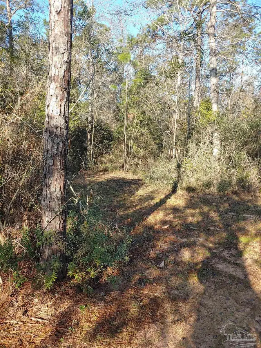 4874 Seely Rd, Molino, FL 32577 - #2