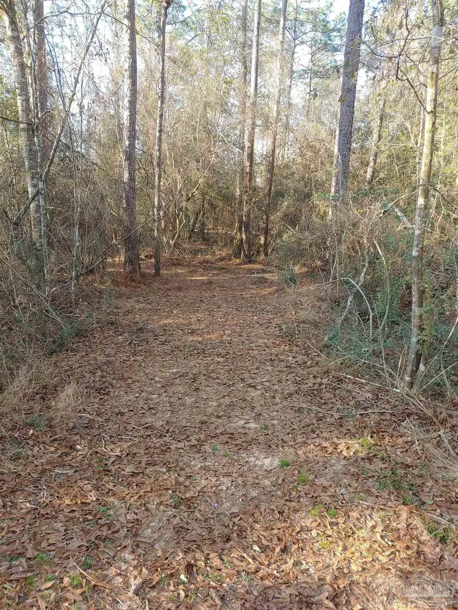 4874 Seely Rd, Molino, FL 32577 - #3