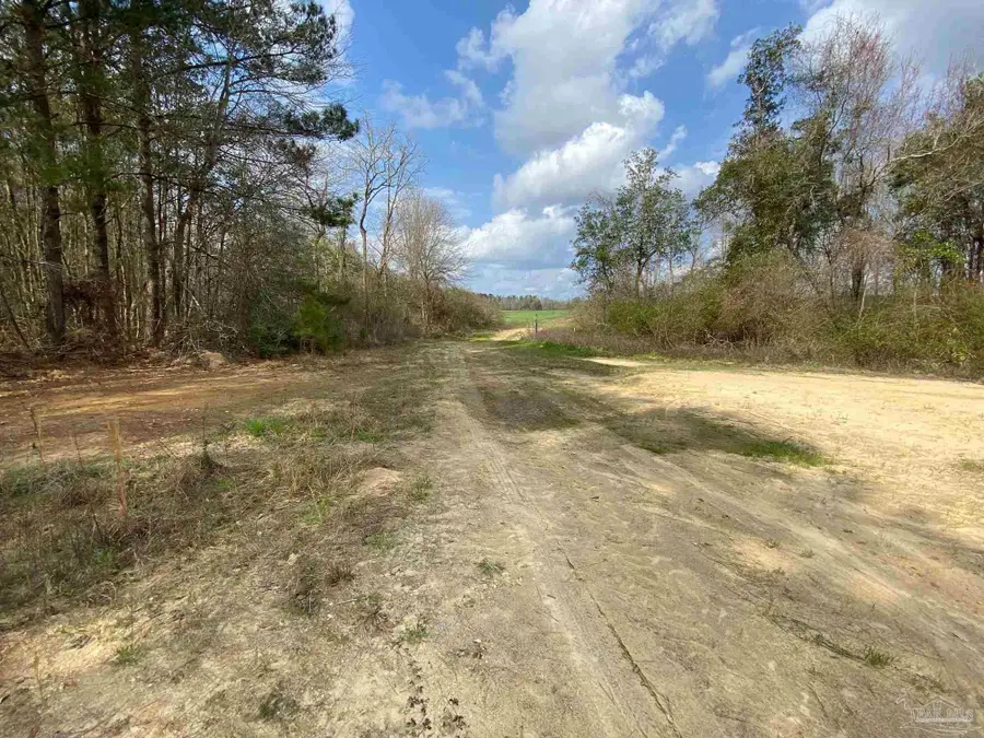 001 Hwy 399, Jay, FL 32565 - #2