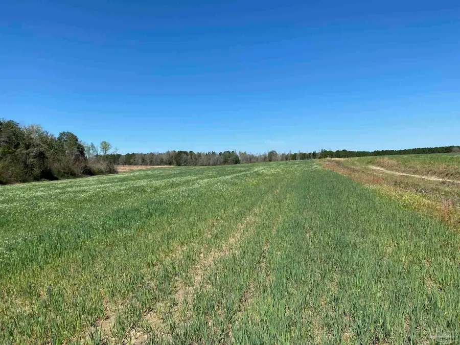 001 Hwy 399, Jay, FL 32565 - #3