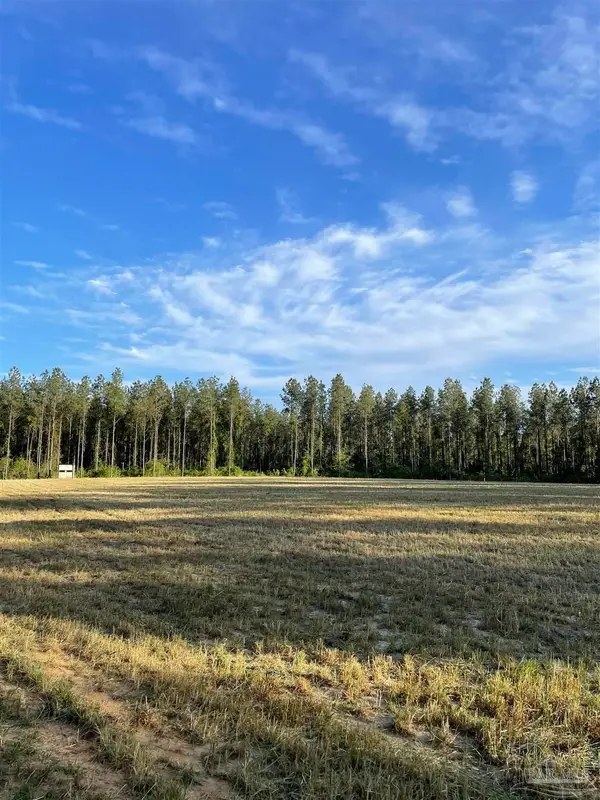 6950 Luth Rd, Molino, FL 32577