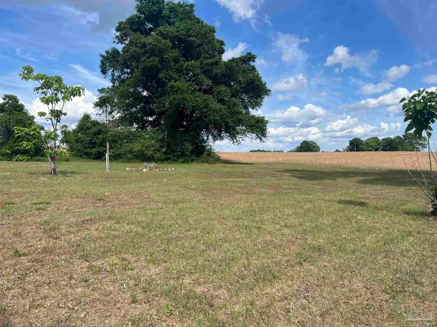 1616 Damascus Rd, Brewton, AL 36426 - #3