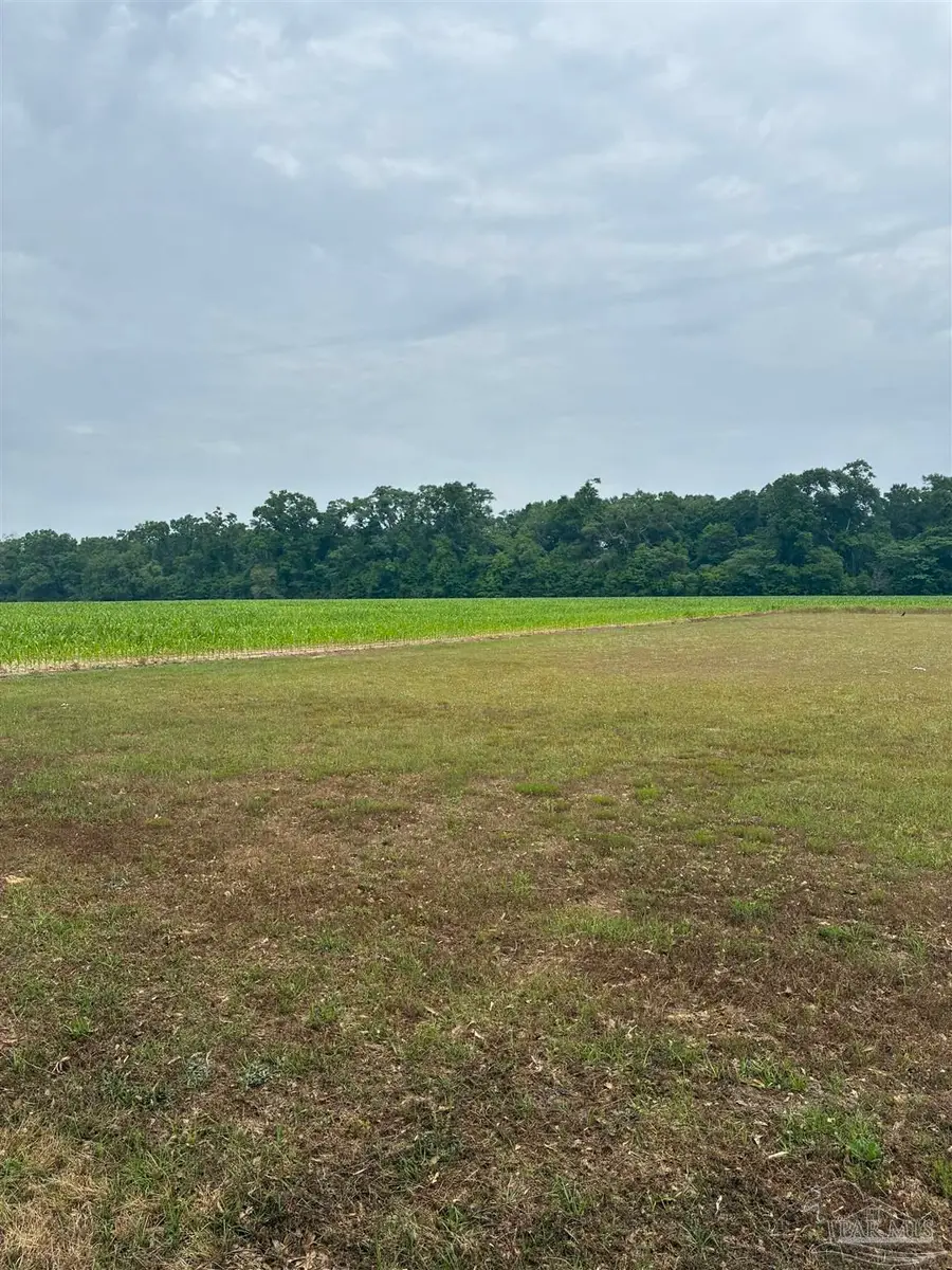 6784 Neal Kennington Rd, Milton, FL 32570 - #3