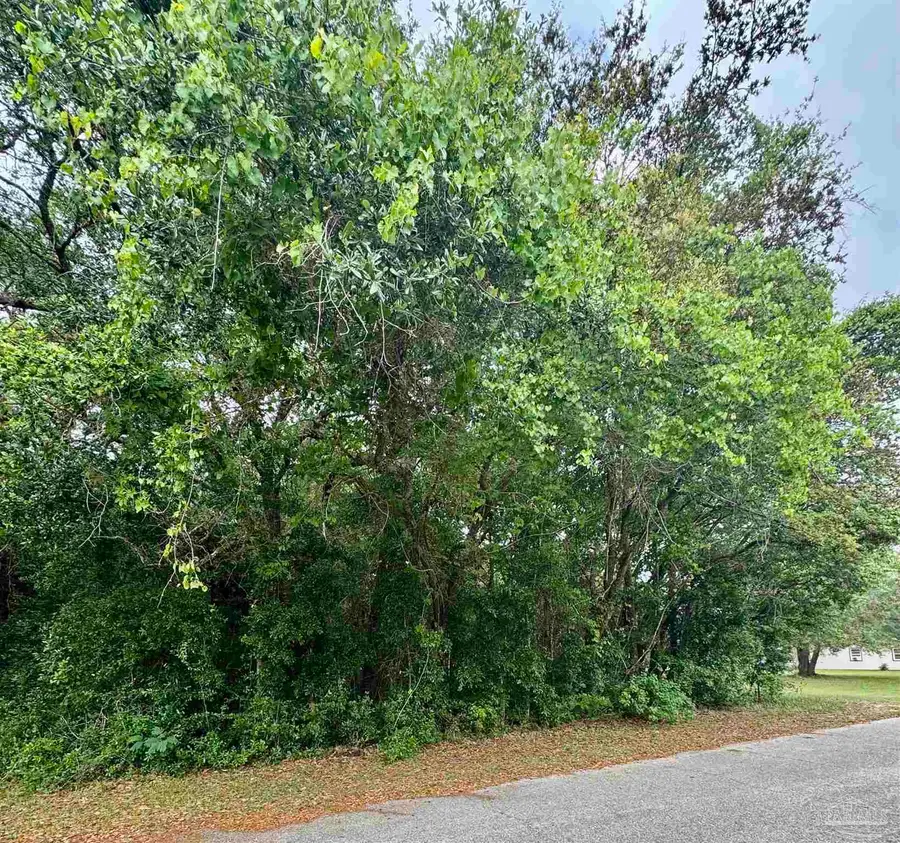 100 BLK Newman Ave, Pensacola, FL 32507 - #2