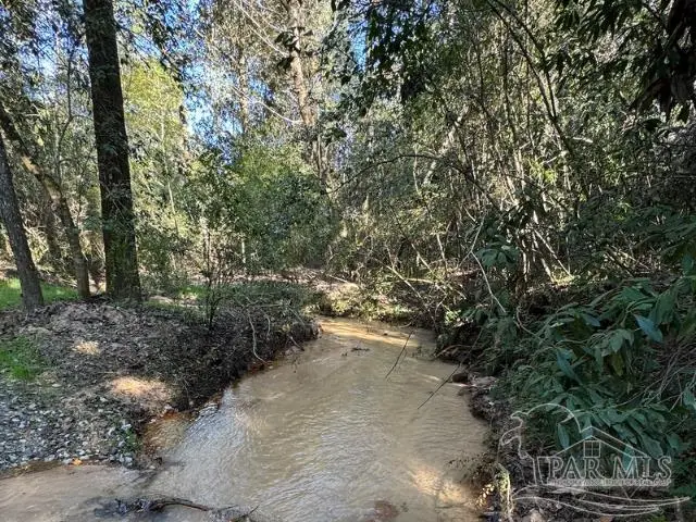 85+/- acres Wiley Scott Rd, Jay, FL 32565 - #1
