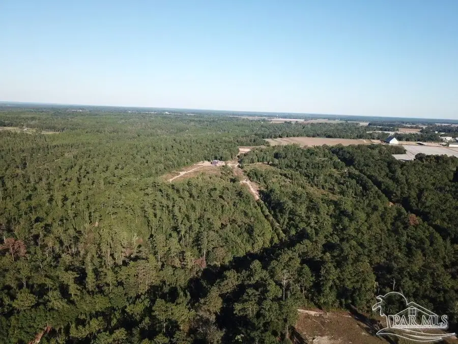 85+/- acres Wiley Scott Rd, Jay, FL 32565 - #3