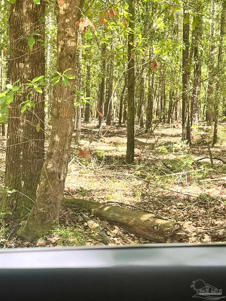 Colts Crossing Ln, Milton, FL 32570 - #2