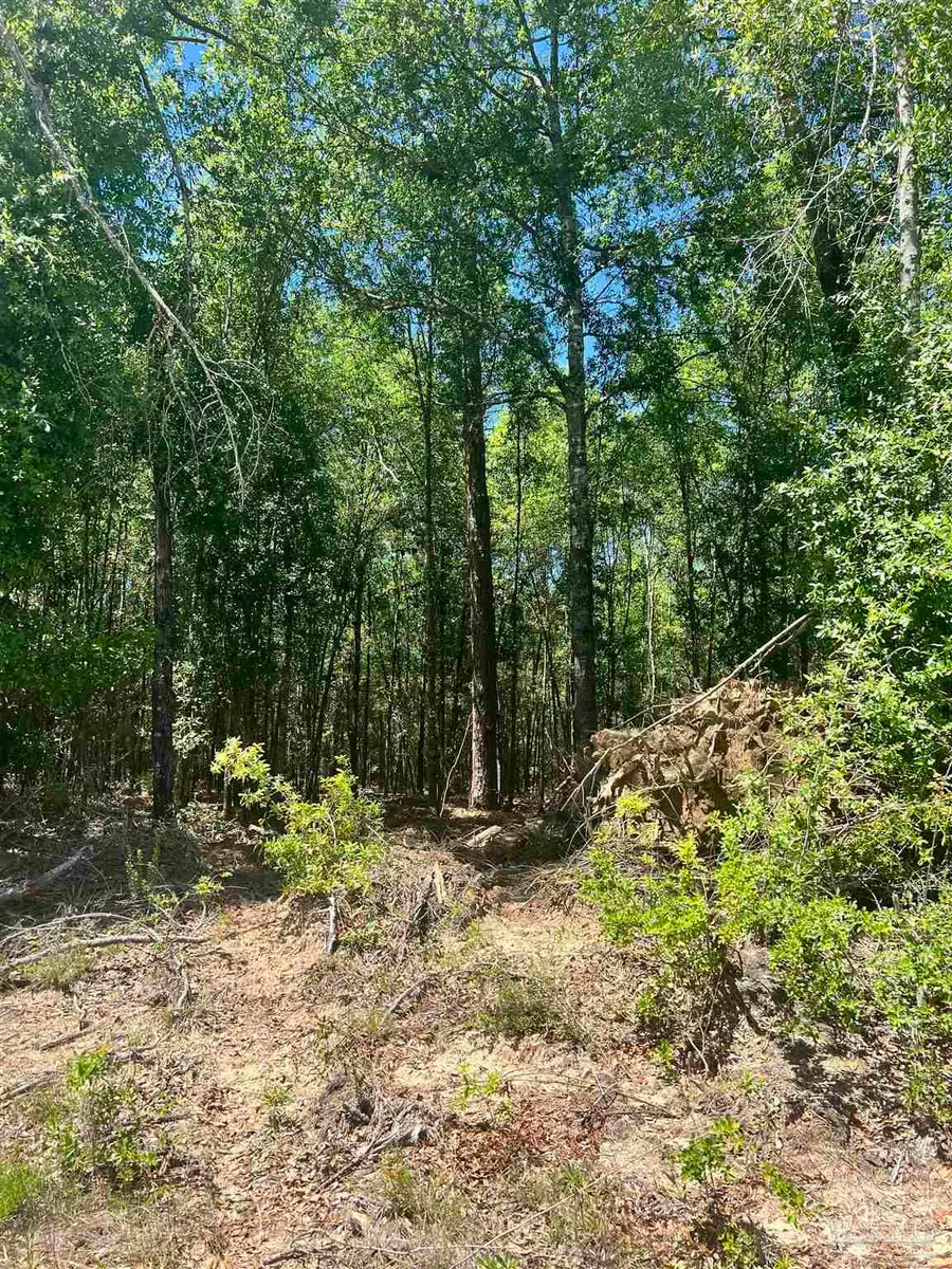 Colts Crossing Ln, Milton, FL 32570 - #3