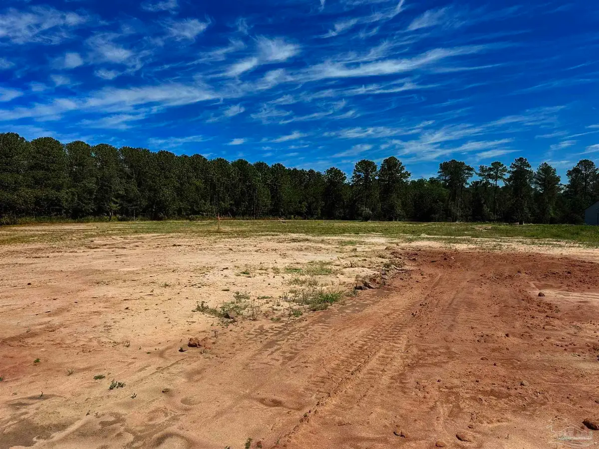 Lot 2 0 T Bridge Rd, Red Level, AL 36474 - #1