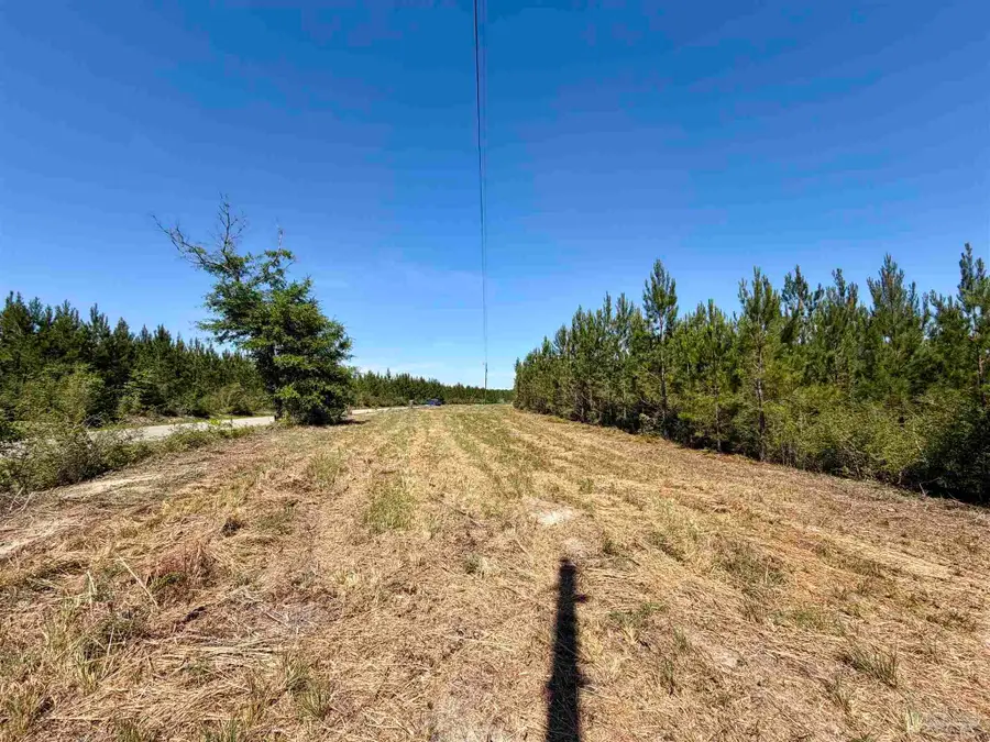 0000 Mineral Springs Rd, Jay, FL 32565 - #3