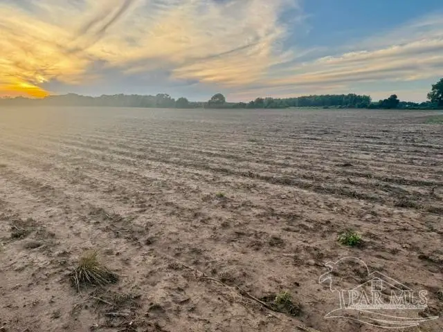 000 Hwy 89, Milton, FL 32570 - #3