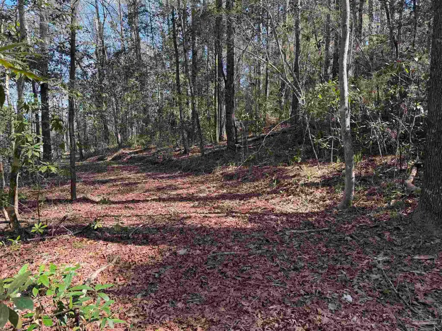 0 Ryan Rd, Crestview, FL 32539 - #3