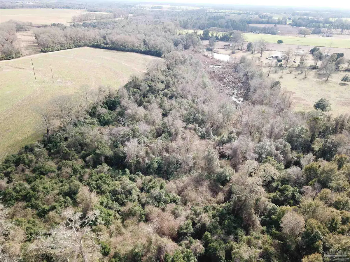 Lot 1 Hwy 4, Jay, FL 32565 - #1