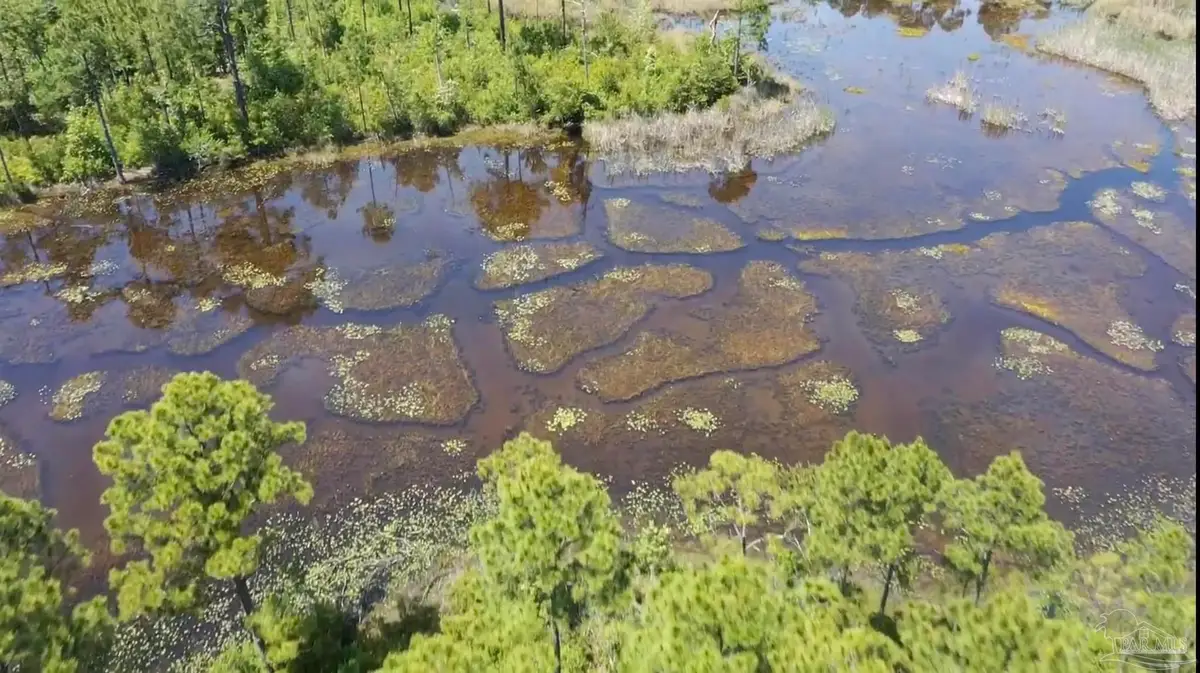Lot 57 Tidal Bay Dr, Milton, FL 32583 - #1