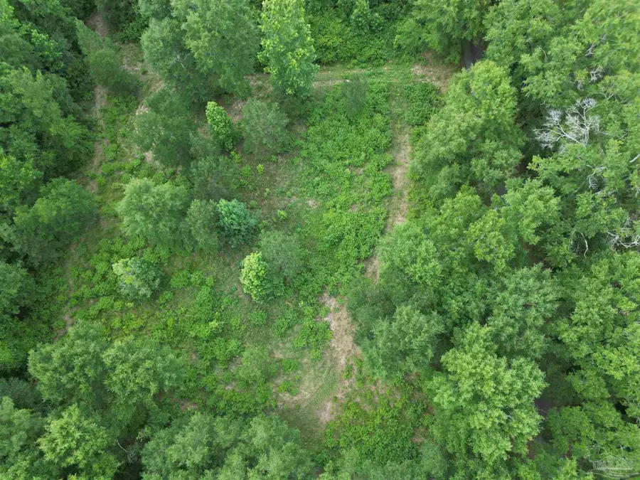 Lot 5N Aubrey Ln, Pace, FL 32571 - #2