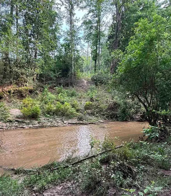 0100 Mineral Springs Rd, Jay, FL 32565
