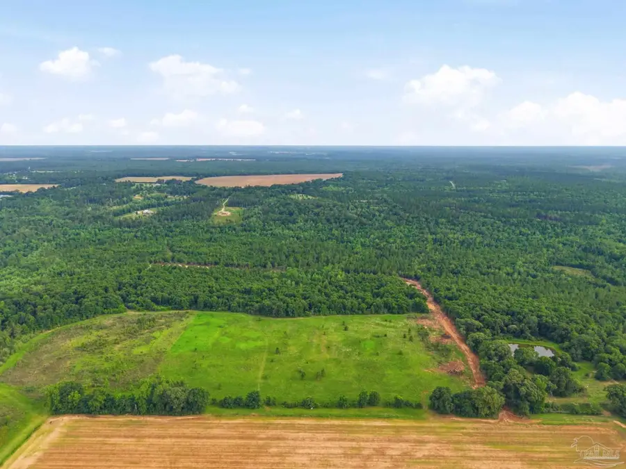 0100 Mineral Springs Rd, Jay, FL 32565 - #2
