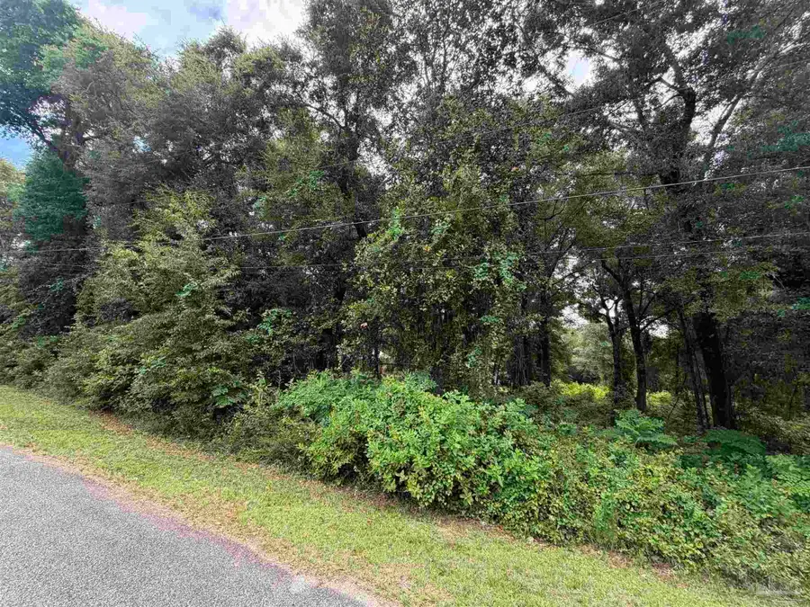 00 Shell Rd, Milton, FL 32570 - #3