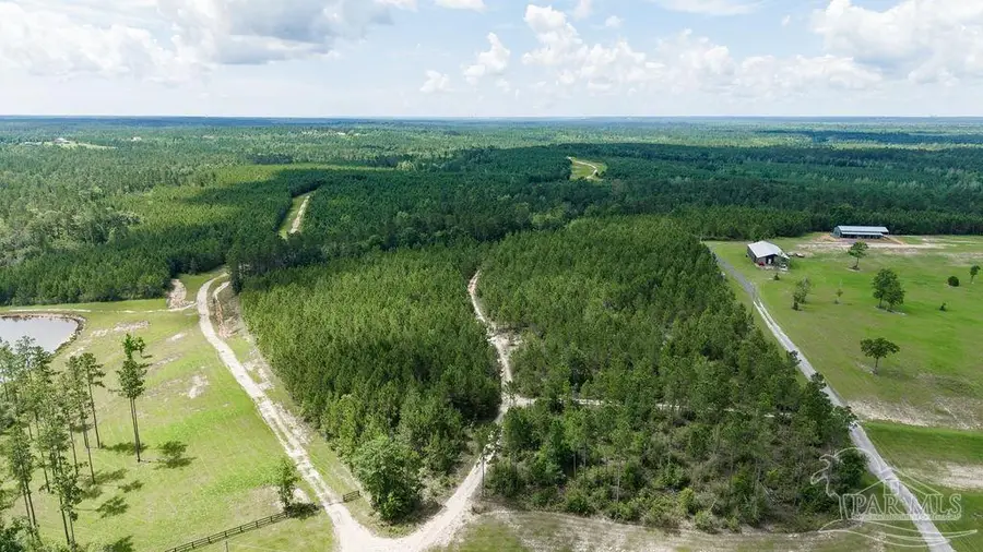 30 Acres Treetop Ridge Dr, Pace, FL 32571 - #2