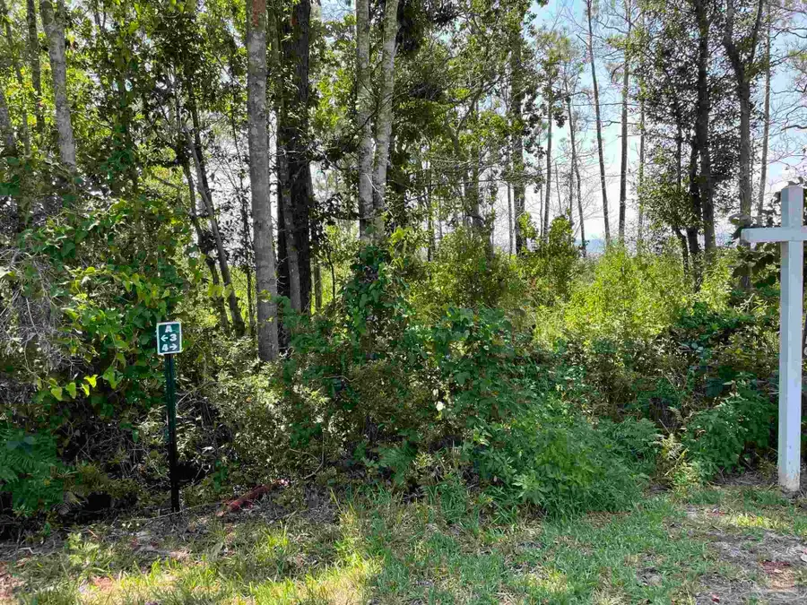 1200 Cuddle Doon Ave, Milton, FL 32583 - #2