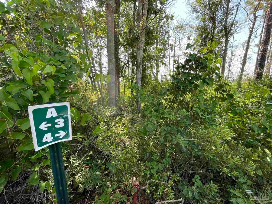 1200 Cuddle Doon Ave, Milton, FL 32583 - #3
