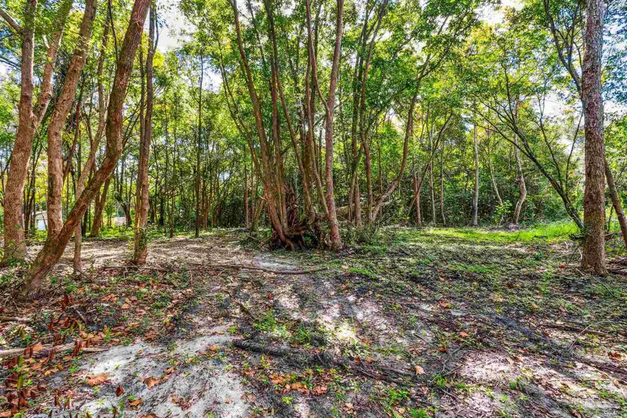 0 Ella St, Bagdad, FL 32583 - #2