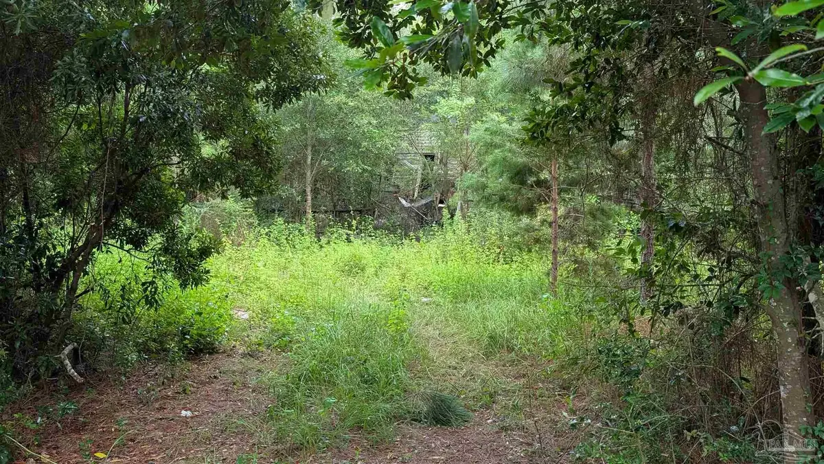 9791 Domino Rd, Milton, FL 32583 - #1