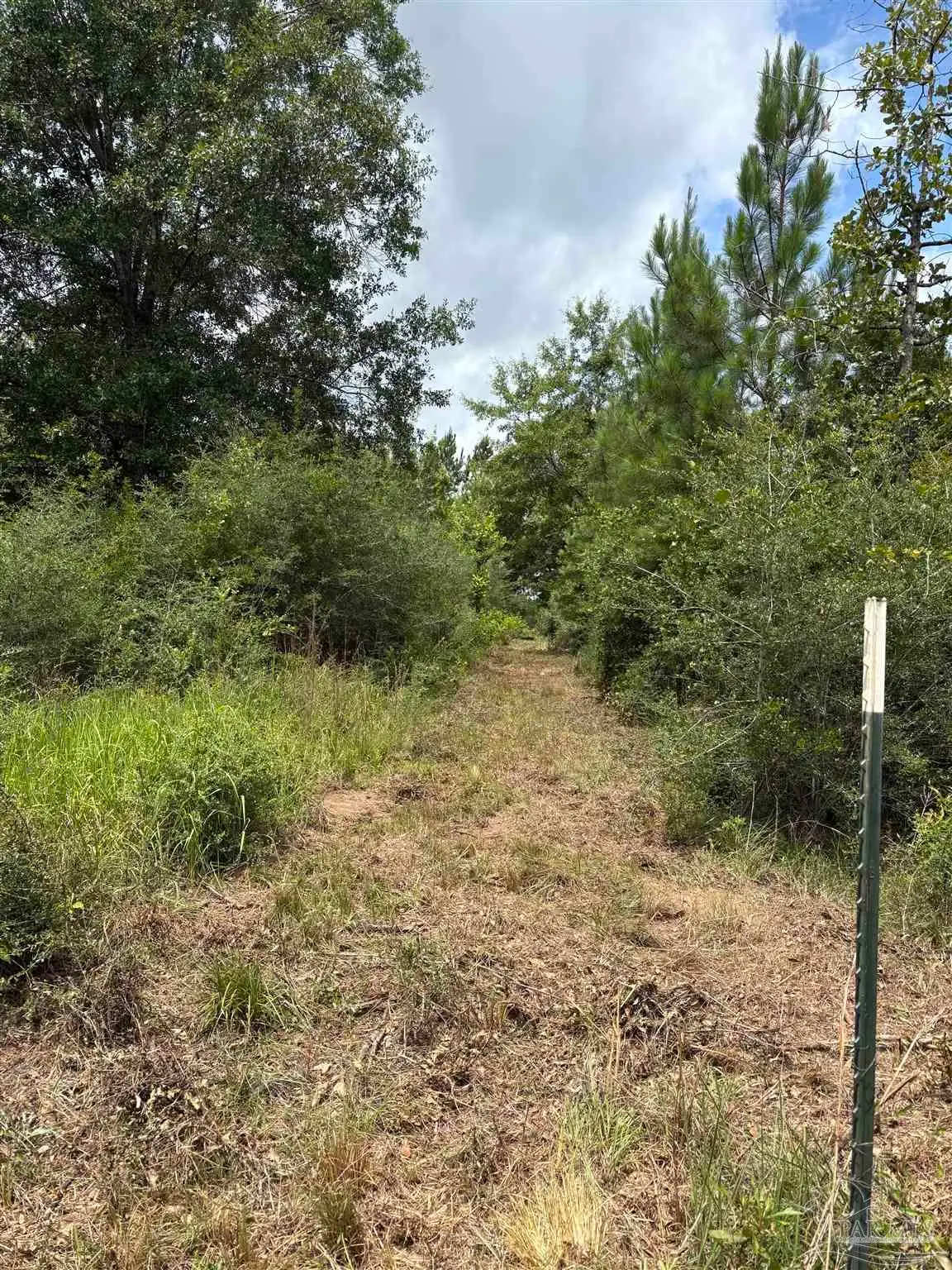 2800 BLK Velor Rd, McDavid, FL 32568 - #1