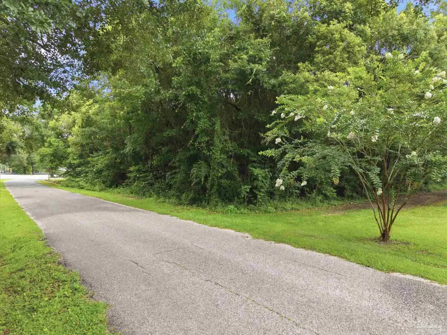 24975 Lavinia Ave, Elberta, AL 36530 - #2