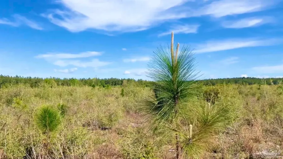 Lot 58 South Timber Ln, Jay, FL 32565 - #2