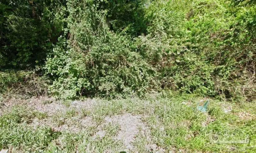 3038 SW 33rd St, Birmingham, AL 35211 - #2