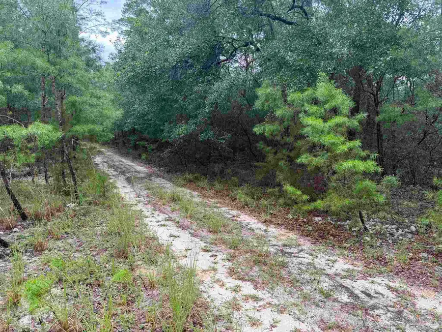 0 Kervin Rd, Crestview, FL 32539 - #3