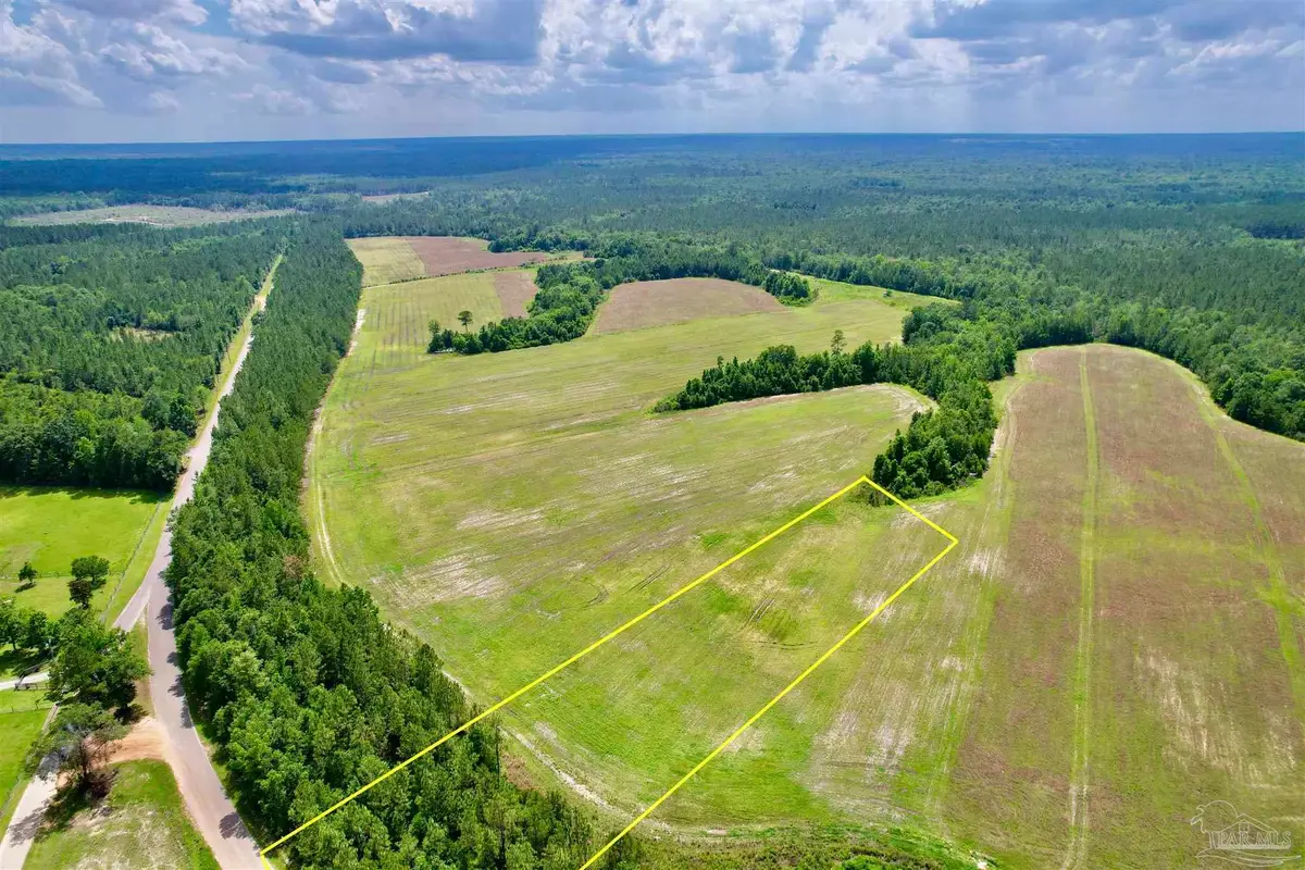 Lot 51 Mineral Springs Rd, Jay, FL 32565 - #1