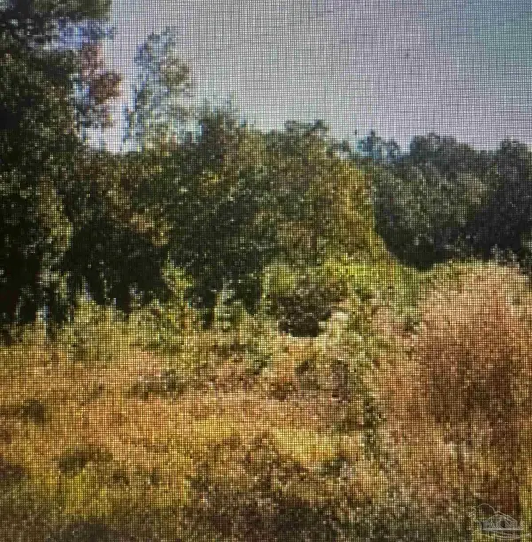 7410 Floyd Dr, Pensacola, FL 32526