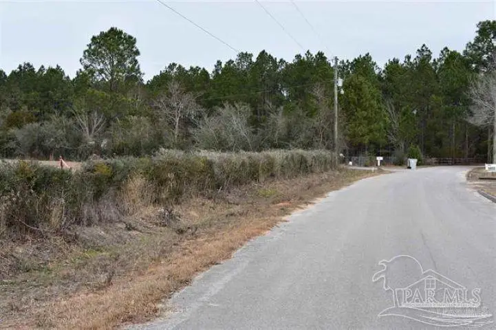 0002 Pat Brown Rd, Milton, FL 32570 - #3