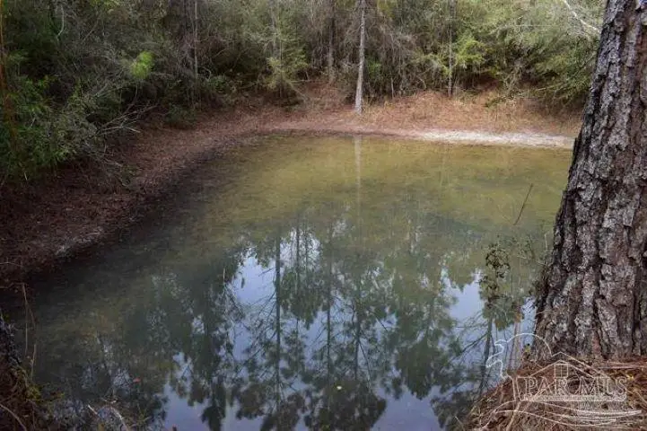 0004 Pat Brown Rd, Milton, FL 32570 - #2