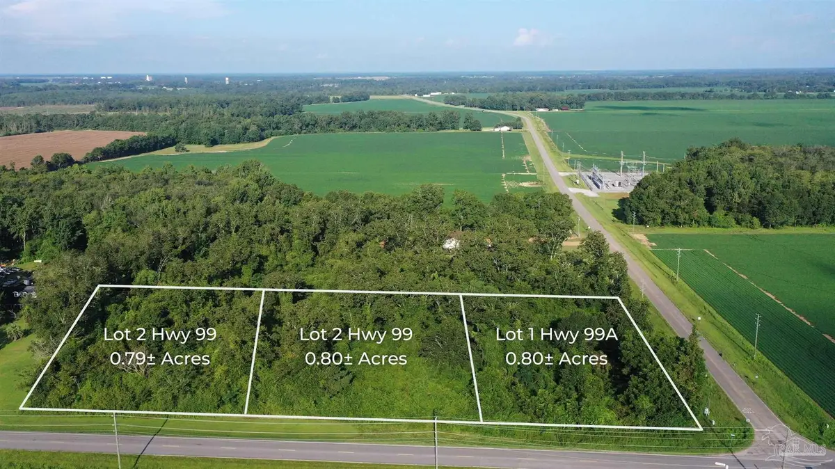Lot 3 Hwy 99, Walnut Hill, FL 32568 - #1