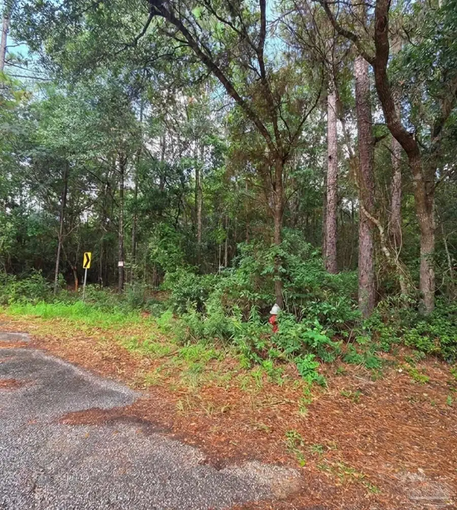 2.279 AC Woodridge Dr, Milton, FL 32570 - #3