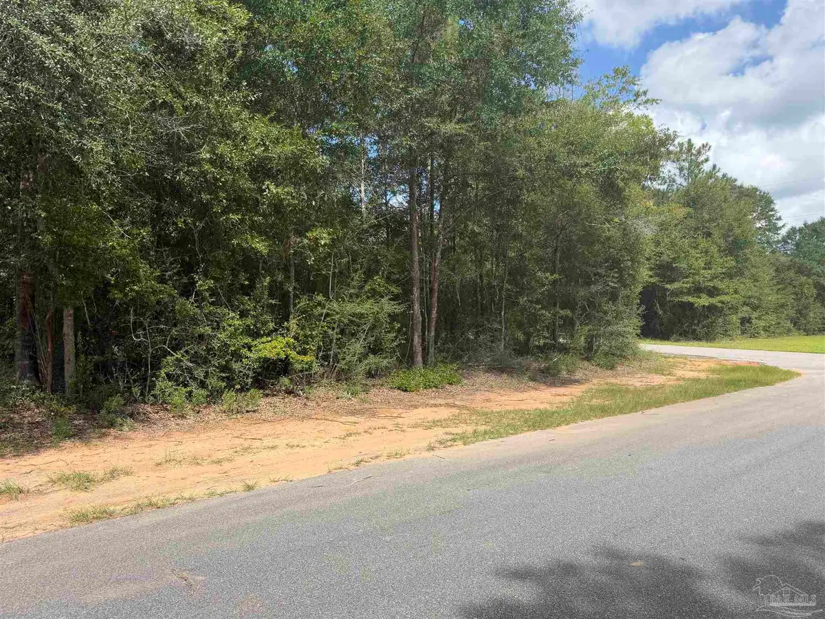 0 Boots Ln, Milton, FL 32570 - #1