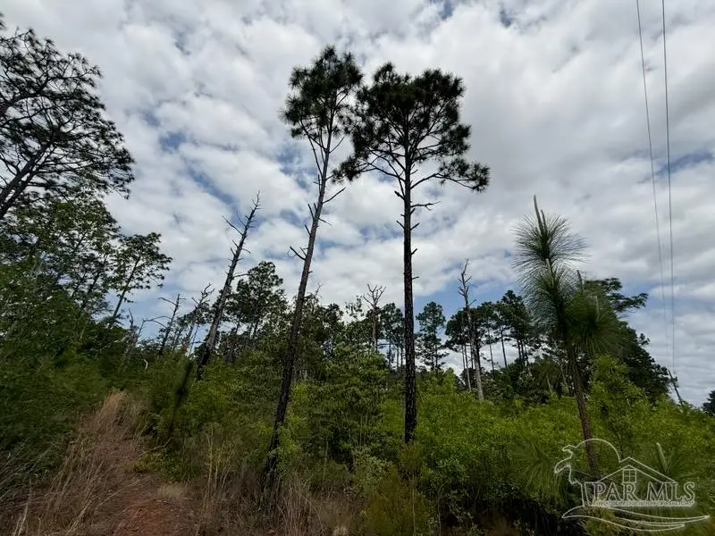 6589-1 Aegean Dr, Milton, FL 32583 - #1